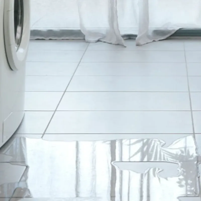 Appliance Leak Cleanup in Porter, ME