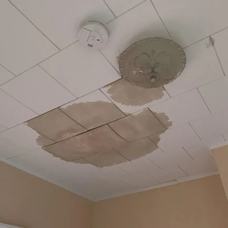 Ceiling Water Damage Repair in Porter, ME