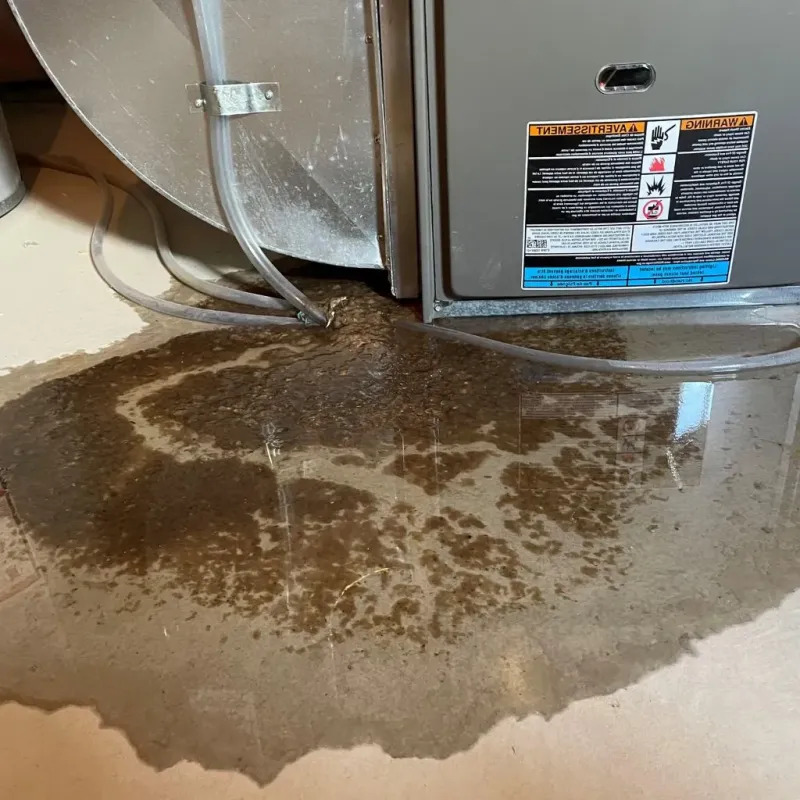 Pipe Burst and Leak Restoration in Porter, ME