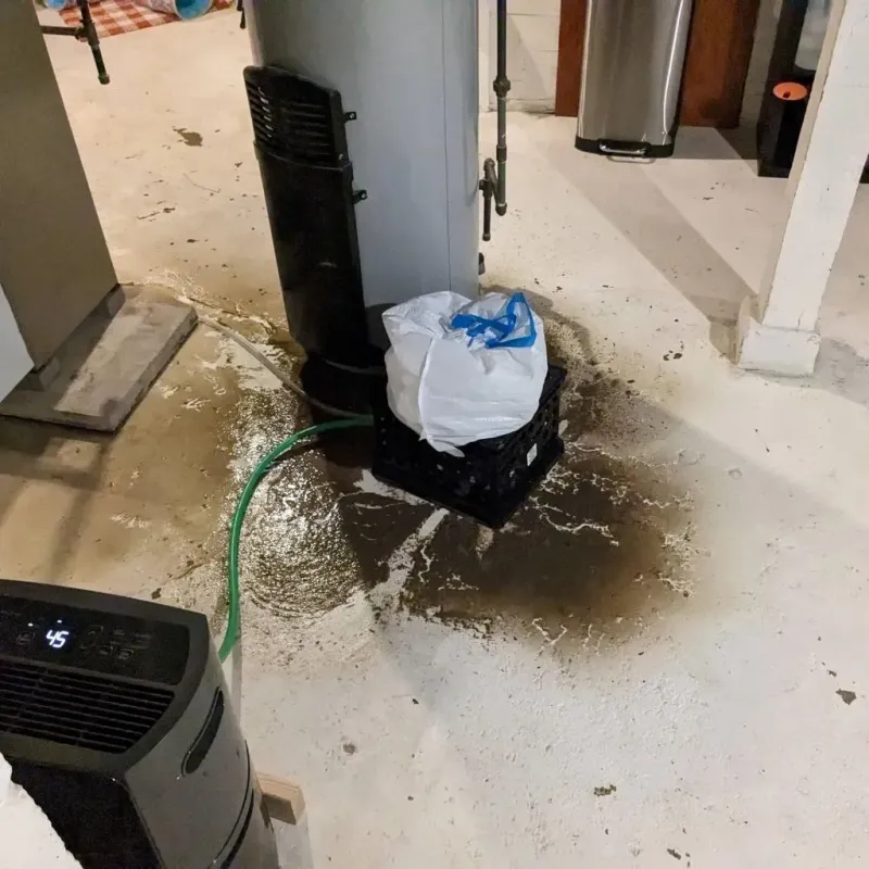 Sewage Backup Cleanup Service in Porter, ME